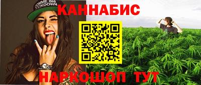 шишки Коммунар