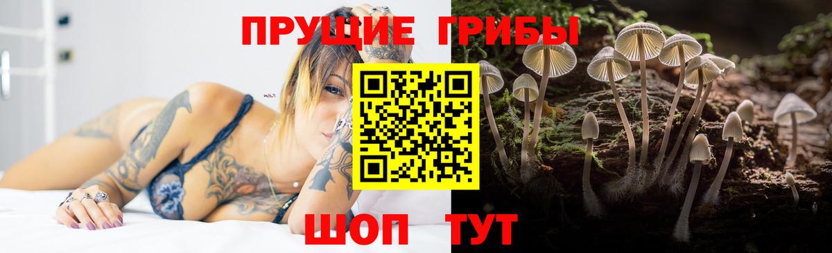 Галлюциногенные грибы мухоморы  Вход с VPN  Чапаевск  Галлюциногенные грибы Psilocybe 